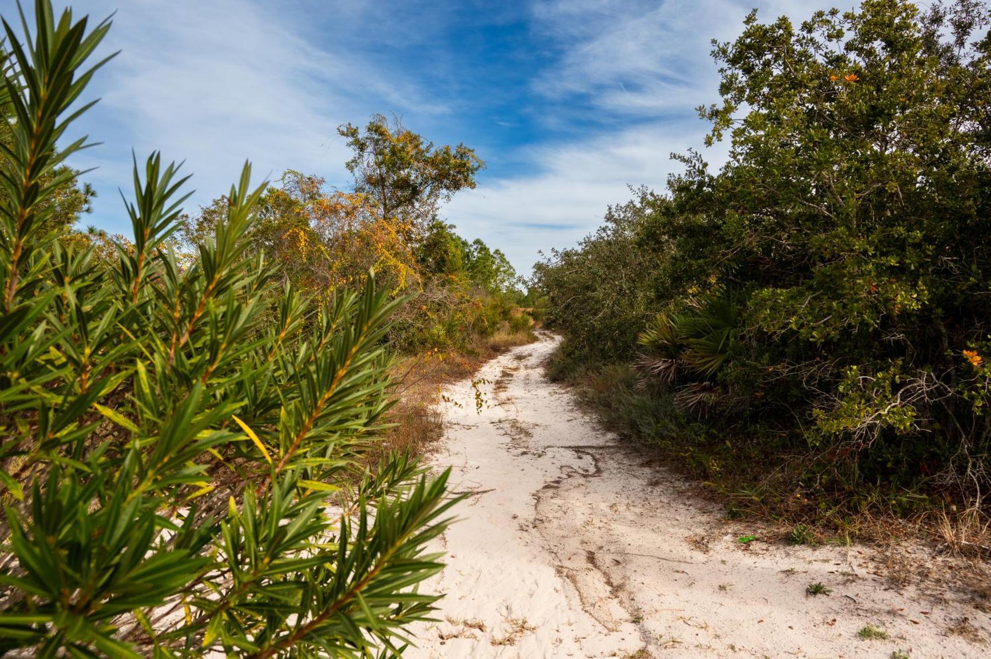 Cottage Beach House Steps From Beach 3 Bedroom 2 Bath Gulf Shores Luaran gambar